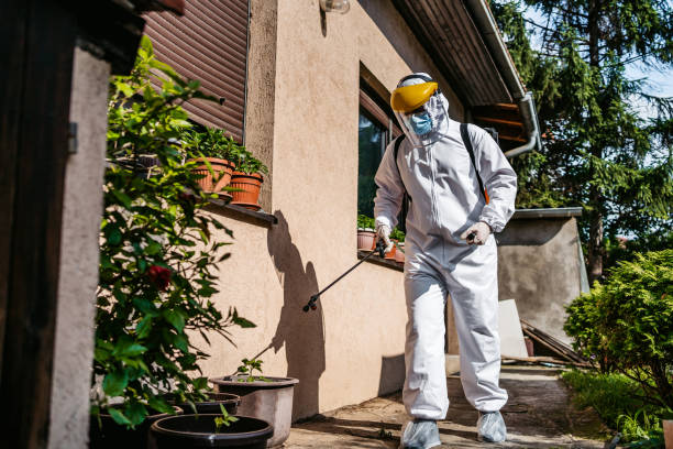 Best Emergency Pest Control  in Monterey Park, CA