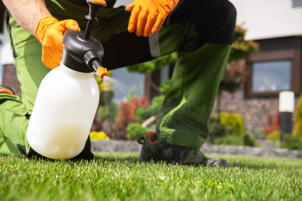 Best Rodent Control Near Me  in Monterey Park, CA