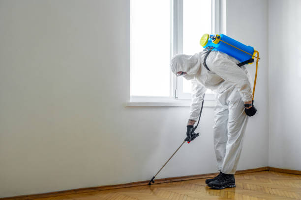Best Bird Control  in Monterey Park, CA