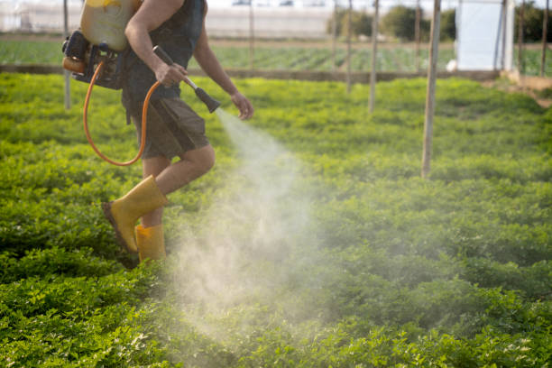 Best Affordable Pest Control Services  in Monterey Park, CA