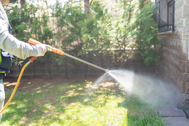 Best Mosquito Control Services  in Monterey Park, CA