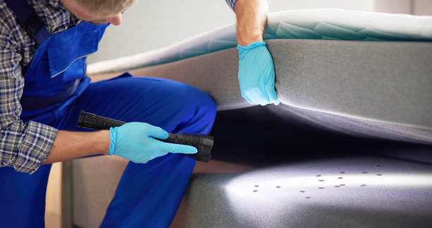 Best Pest Control Near Me in Monterey Park, CA