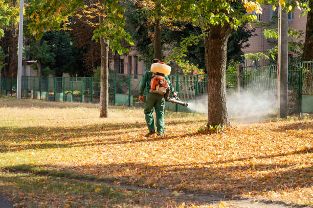 Best Commercial Pest Control Services  in Monterey Park, CA